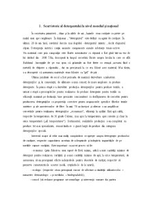 Analiza Merceologica a Produselor Chimice - Detergentul de Rufe - Pagina 2