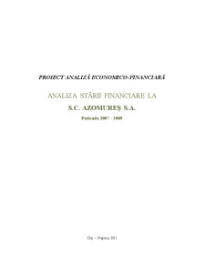 Analiza stării financiare la SC Azomures SA în perioada 2007-2009 - Pagina 1