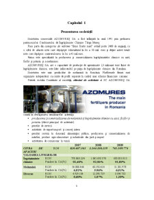 Analiza stării financiare la SC Azomures SA în perioada 2007-2009 - Pagina 3