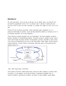 Ciclul Biogeochimic al Fosforului - Pagina 3