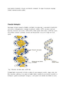 Ciclul Biogeochimic al Fosforului - Pagina 5