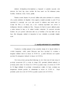 Analiza contabilă a firmei Stolz-Bauer - Pagina 3