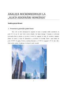 Analiza Micromediului la Alico Asigurări România - Pagina 2
