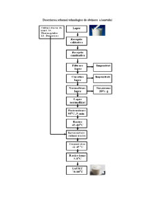 Descrierea schemei tehnologice de obținere a iaurtului - Pagina 1