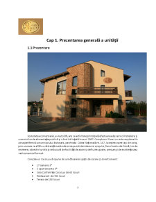 Gestiunea unităților alimentare - Pensiunea Casa Lux, Botoșani - Pagina 3