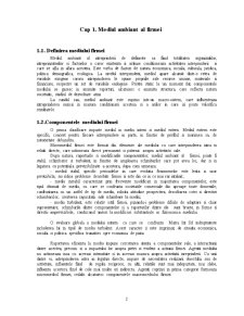 Relațiile firmei SC Matra Int SRL cu mediul - Pagina 2