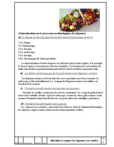 Mașina de tăiat legume - Pagina 2