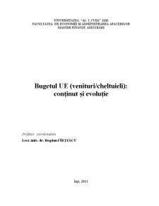 Bugetul UE - conținut și evoluție - Pagina 1