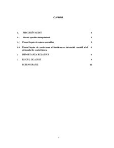 Evaluarea Riscului de Audit - Pagina 2
