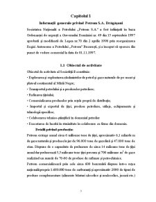Evaluarea și contabilitatea activelor imobilizate la SC Petrom SA Drăgășani - Pagina 3