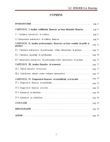 Analiza Performanței Financiare a Întreprinderii SC Iproeb SA Bistrița - Pagina 2