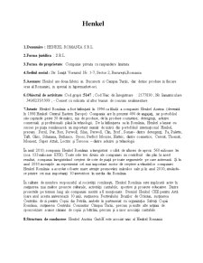 Monografie Henkel - Pagina 1