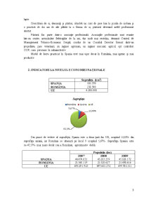 Studiu Comparativ Romania-Spania - Pagina 3