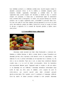 Alimentația sanatoasă. Piramida alimentelor - Pagina 4
