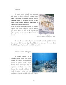 Calcarul și Relieful Carstic - Pagina 3