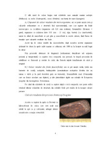 Calcarul și Relieful Carstic - Pagina 4