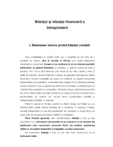 Bilanțul și Situația Financiară a Întreprinderii - Pagina 1