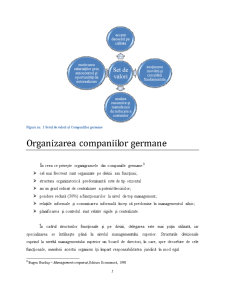 Managementul German - Pagina 5