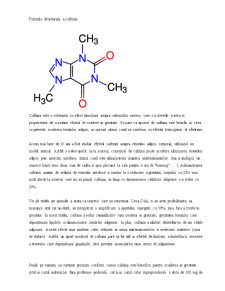 Cafeina - drog sau substanță benefică organismului - Pagina 4