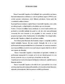 Cultura Băncii Carpatica - Pagina 2