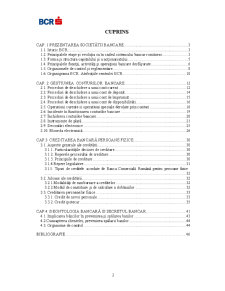Studiu monografic BCR Iași - Pagina 2
