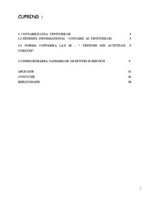 Contabilitatea veniturilor IAS 18 aplicație la SC Civic Sistems SRL - Pagina 2