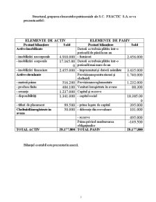 Analiza economico-financiară la SC Practic SA - Pagina 5
