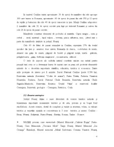 Valorificarea potențialului turistic al Județului Neamț - Pagina 4
