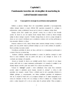 Strategii de Marketing în Cadrul SRL Conaprim Grup - Pagina 4