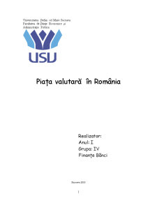 Piața Valutară în România - Pagina 1