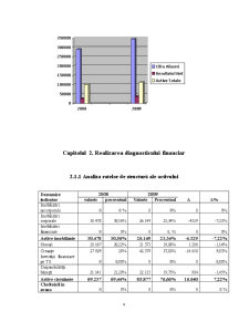 Analiza contabilă - Pagina 4