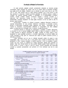 Analiza inflație în România - Pagina 5