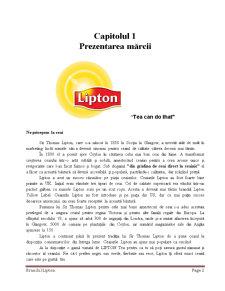 Cercetare calitativă Lipton - Pagina 2