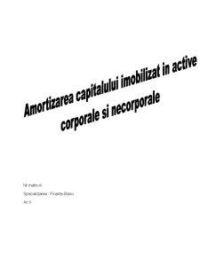 Amortizarea Capitalului Imobilizat în Active Corporale și Necorporale - Pagina 1
