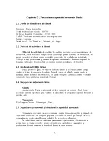 Planul de Afaceri al Firmei Dacia - Pagina 5