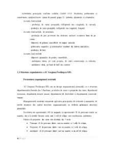 Analiza Costurilor la SC Sergiana SRL - Pagina 4
