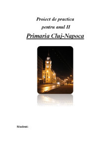 Practică Primăria Cluj-Napoca - Pagina 1