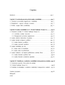 Analiza diagnostic a rentabilității la SC Morărit Panificație Roman SA - Pagina 1