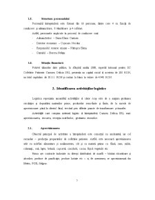 Analiza Sistemului Logistic la SC Carmen Delicia SRL - Pagina 5