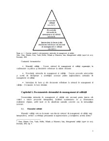 Documentația Sistemului de Management al Calității - Pagina 3