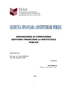 Organizarea și conducerea gestiunii financiare la instituțiile publice la Scoala cu Clasele I-VIII, Țibucani - Pagina 1