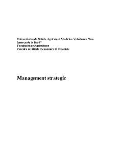 Management Strategic - Pagina 1