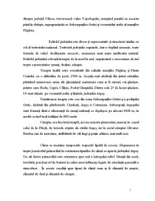 Județul Argeș în economia național - Pagina 3