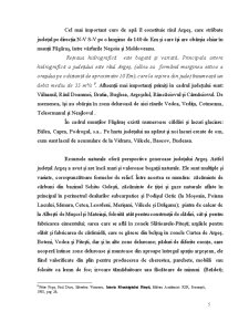Județul Argeș în economia național - Pagina 5
