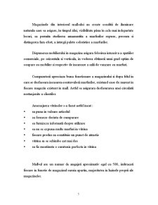 Studiu de caz Arena Mall Bacău - Pagina 5