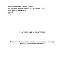 Diagnosticul financiar - instrument al previziunii, analizei performanței financiare și a managementului firmei - Pagina 1