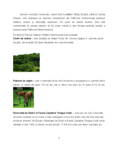 Dezvoltarea ecoturismului - Parcul Natural Vânători Neamț - Pagina 4
