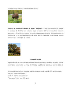 Dezvoltarea ecoturismului - Parcul Natural Vânători Neamț - Pagina 5