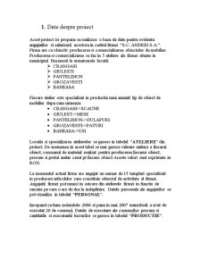 Proiect Oracle - Pagina 2
