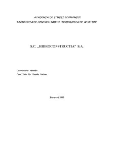 Analiză economică - SC Hidroconstructia SA - Pagina 1